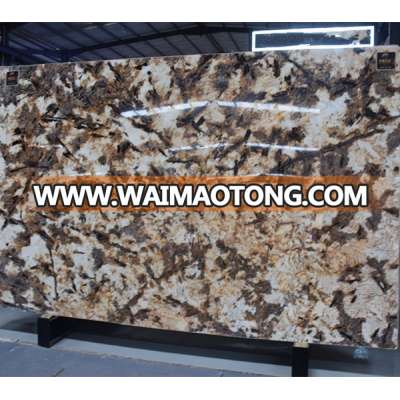 Large Abstract Landscape Statuary Painting Multicolor Brown Marble Slab