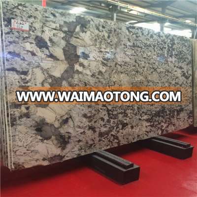 Cheap Snow Fox Granite Countertop Marble Slab Tile Stone For Floor