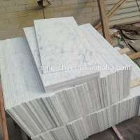 Carrara White marble 24x24 tiles