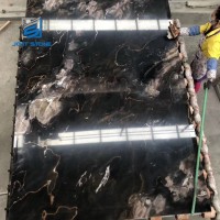 Fantasy Black Shadow Marble Slabs For Interior Wall